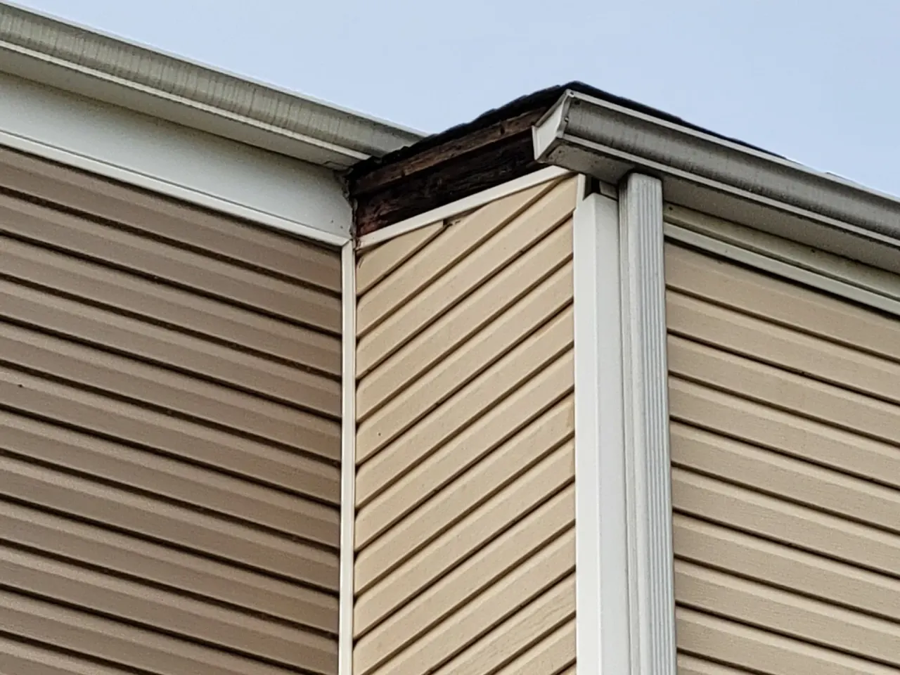 Gutter Repair in New Jersey